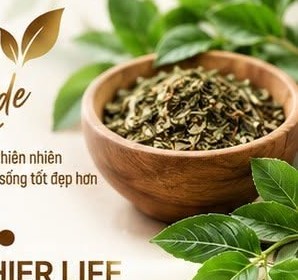 Organic Herbs - VSTP